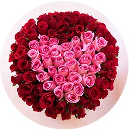 valentines-roses
